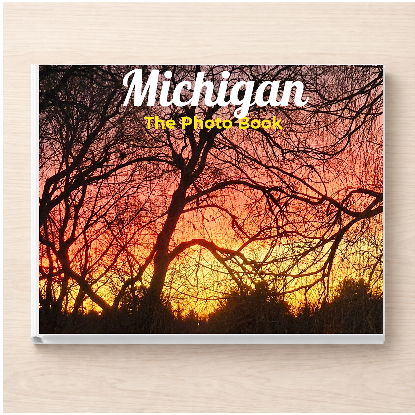 Michigan: The Photo Book