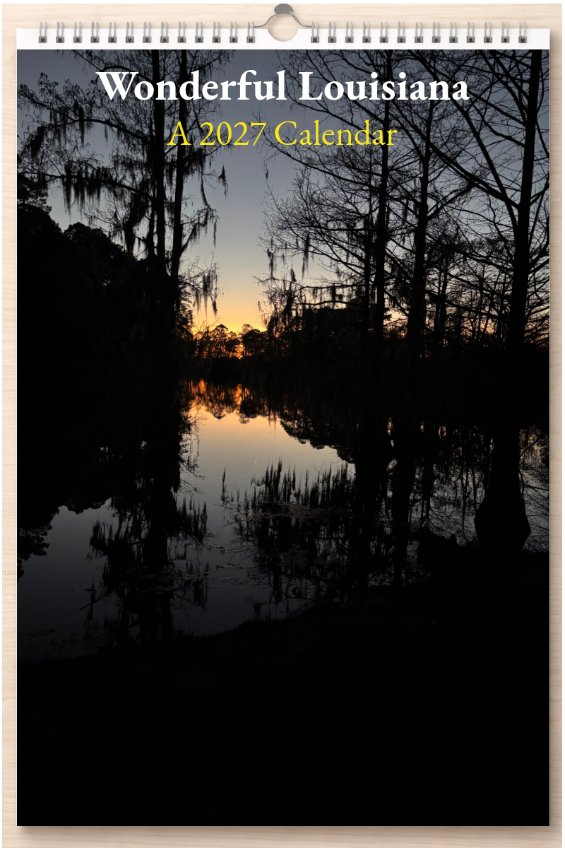 Wonderful Louisiana: A 2027 Calendar