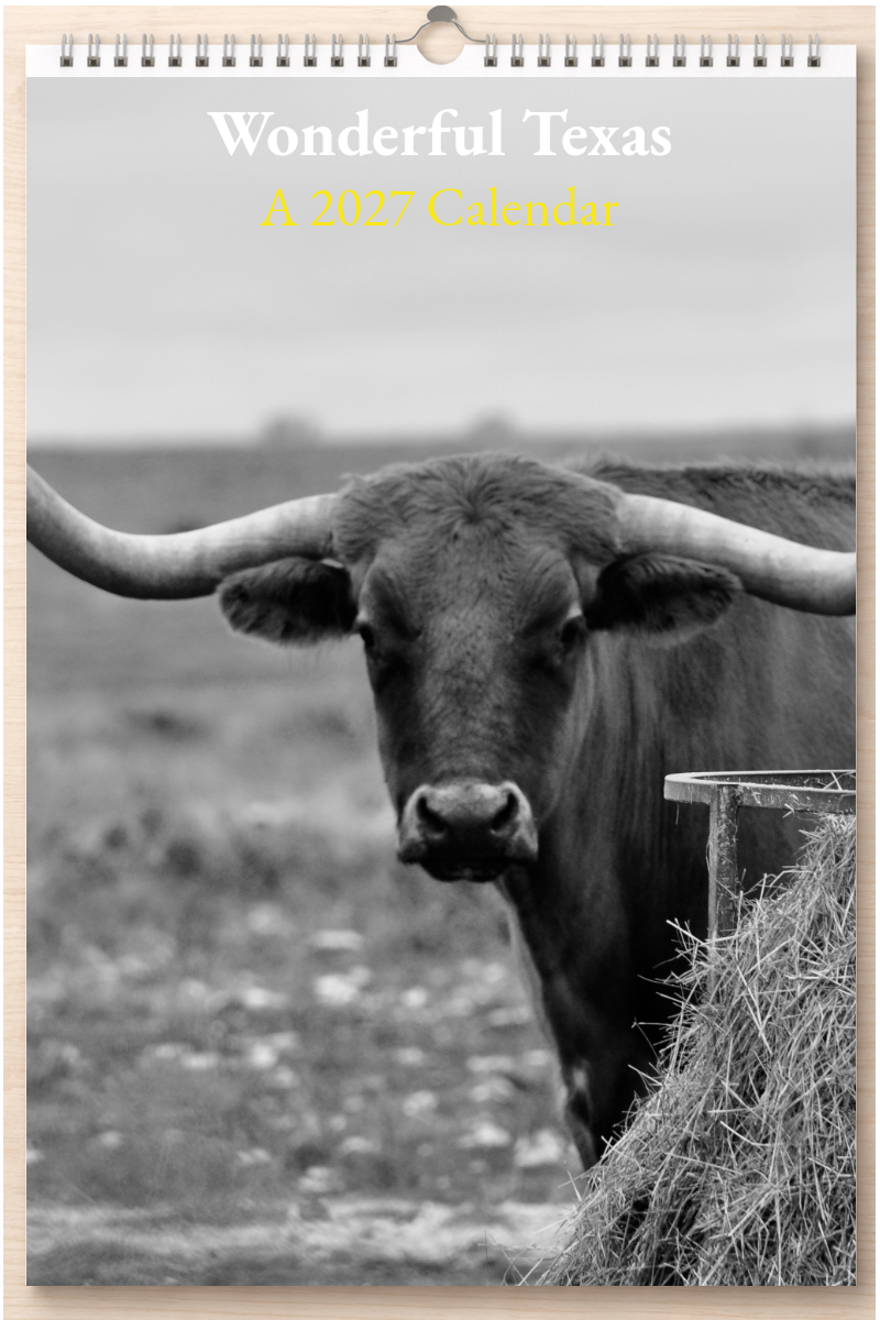 Wonderful Texas: A 2027 Calendar