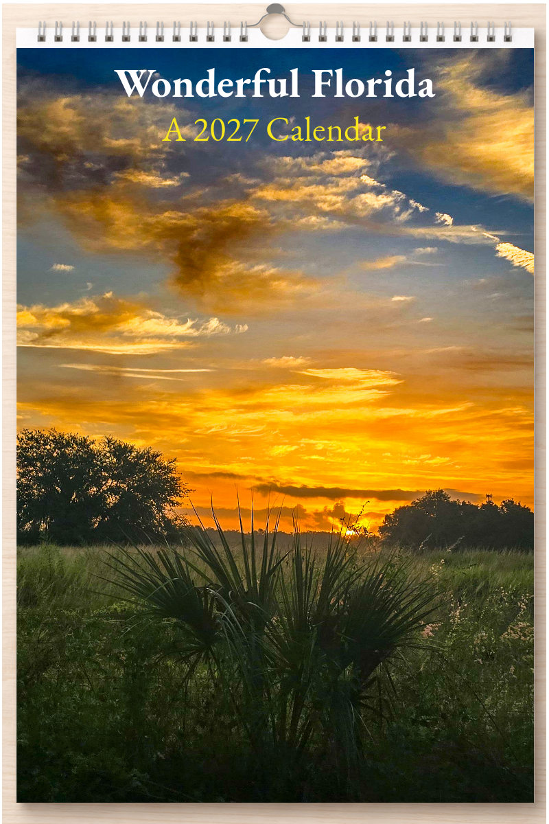 Wonderful Florida: A 2027 Calendar