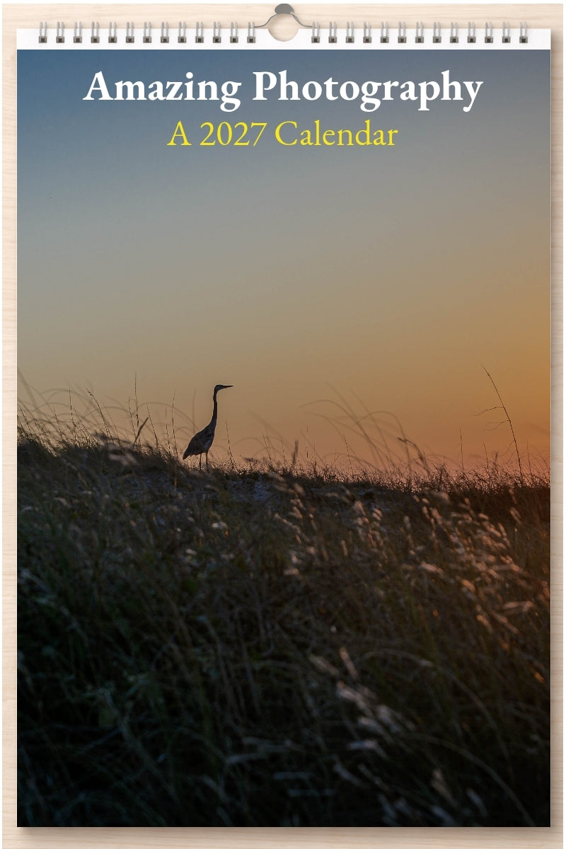 Amazing Photography: A 2027 Calendar