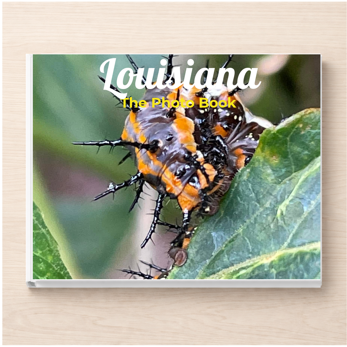 Louisiana: The Photo Book
