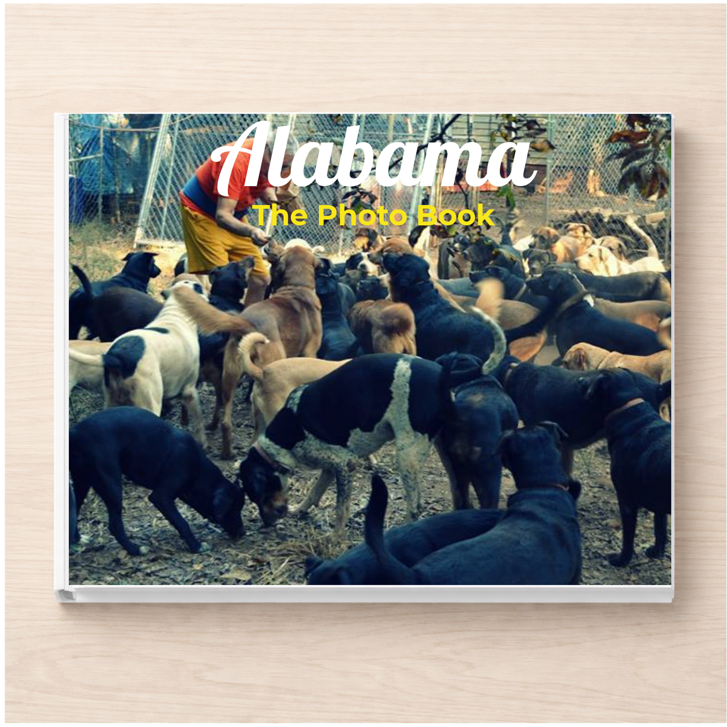 Alabama: The Photo Book
