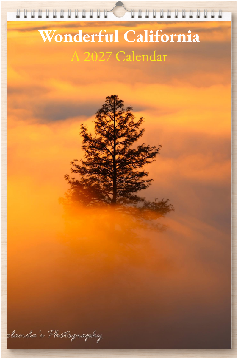 Wonderful California: A 2027 Calendar