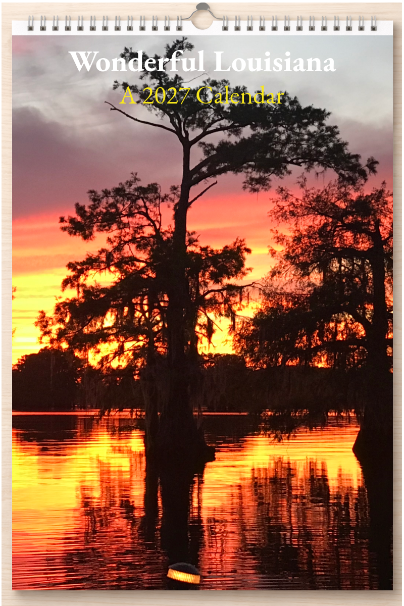 Wonderful Louisiana: A 2027 Calendar