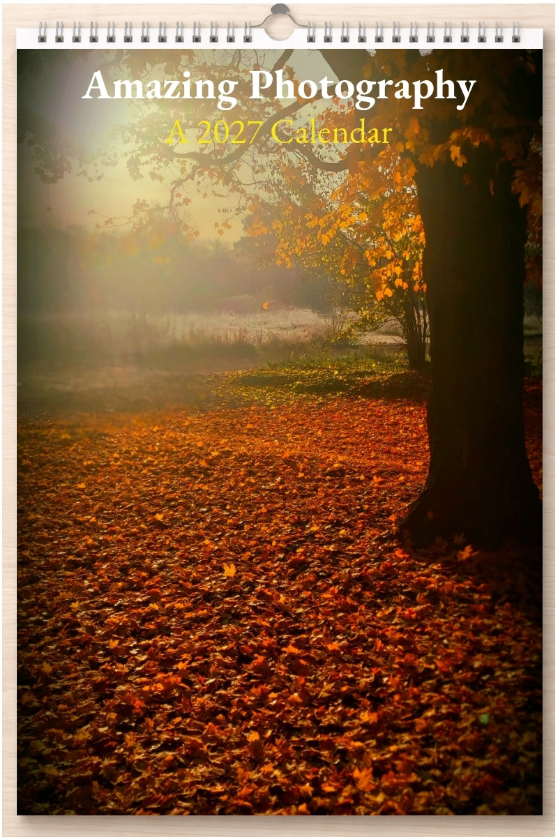 Amazing Photography: A 2027 Calendar