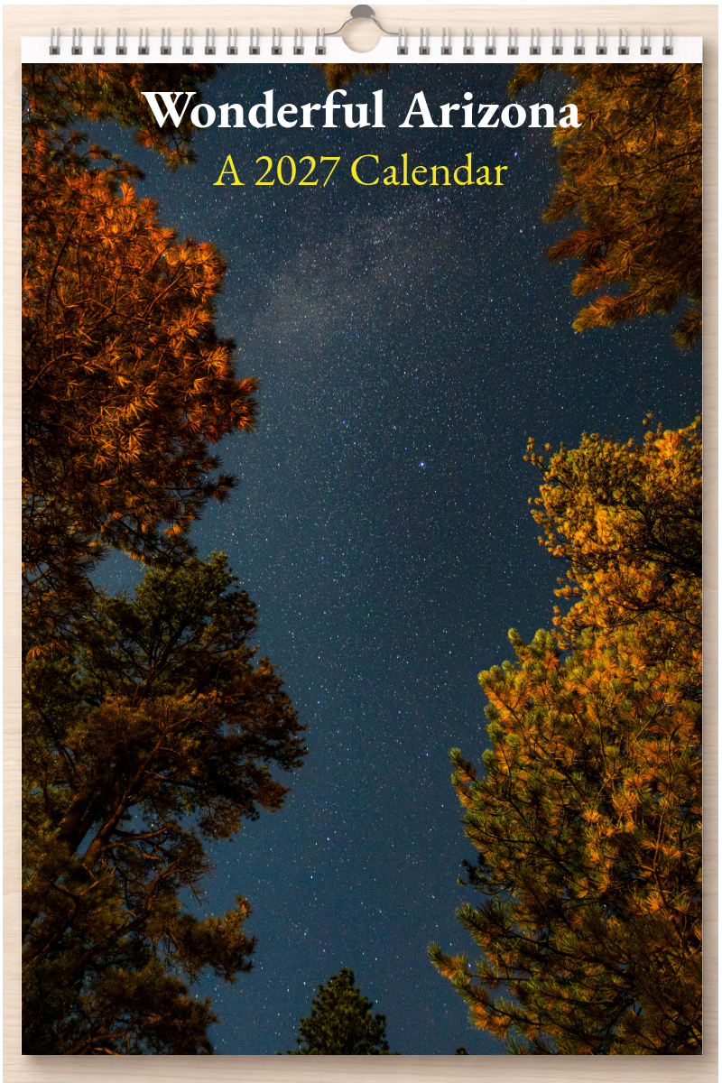 Wonderful Arizona: A 2027 Calendar