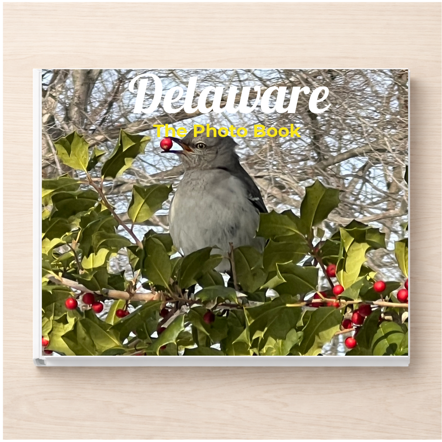 Delaware: The Photo Book