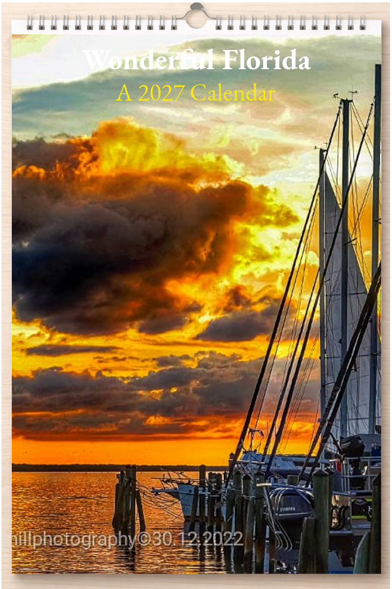 Wonderful Florida: A 2027 Calendar