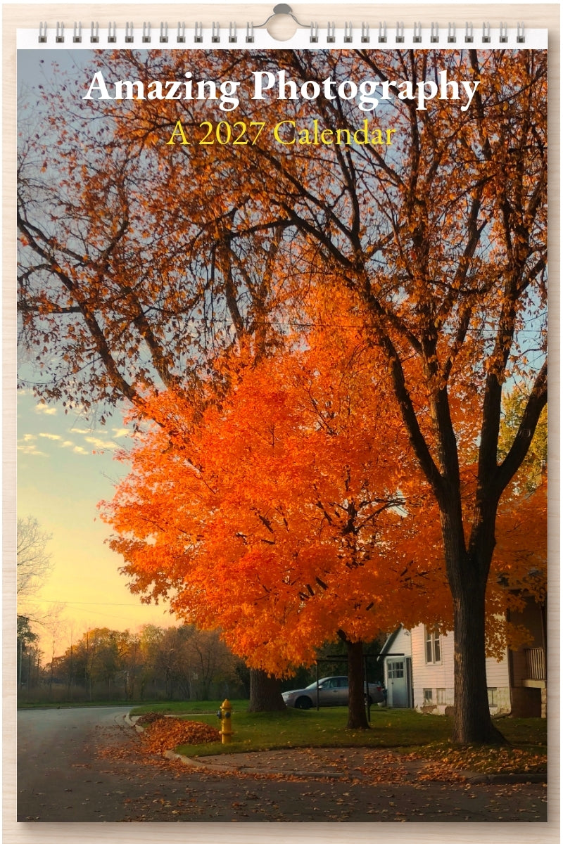 Amazing Photography: A 2027 Calendar