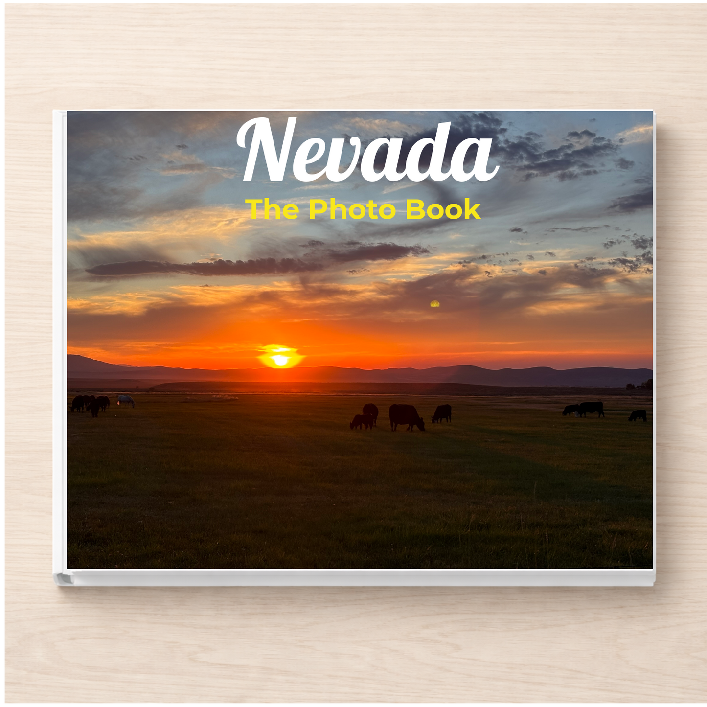 Nevada: The Photo Book