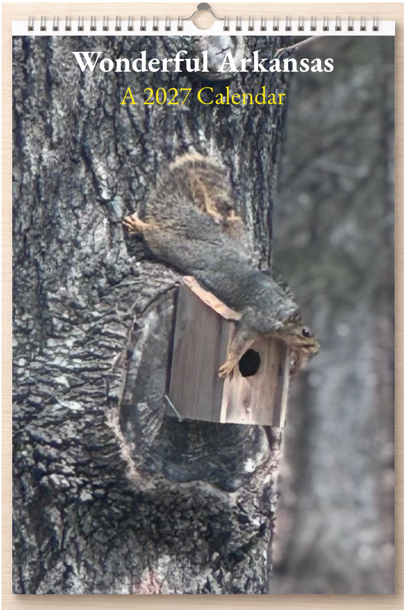 Wonderful Arkansas: A 2027 Calendar