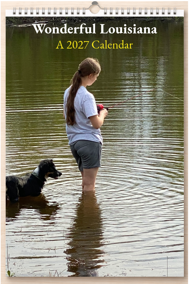 Wonderful Louisiana: A 2027 Calendar