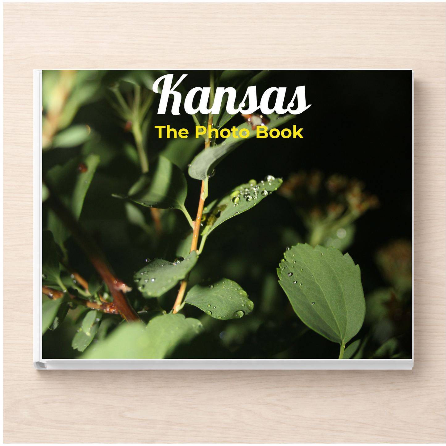 Kansas: The Photo Book