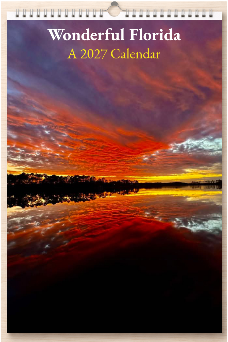 Wonderful Florida: A 2027 Calendar