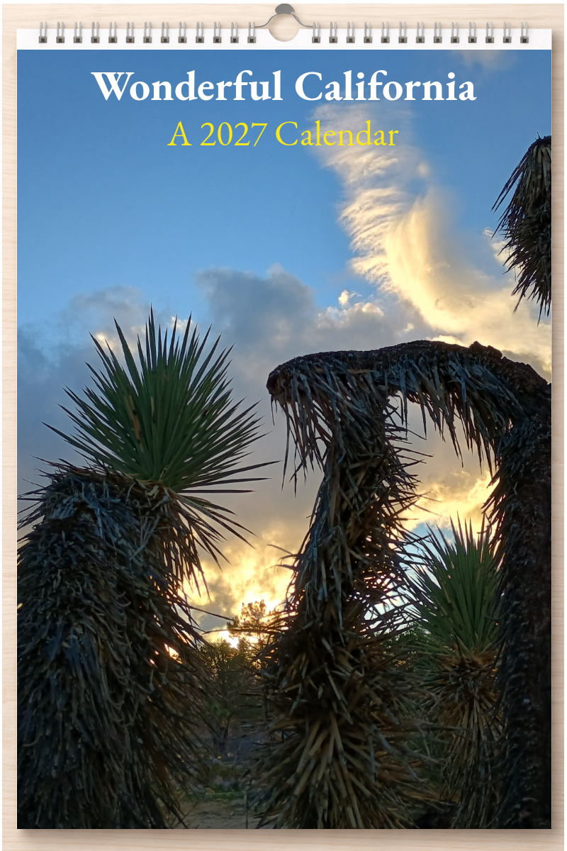 Wonderful California: A 2027 Calendar
