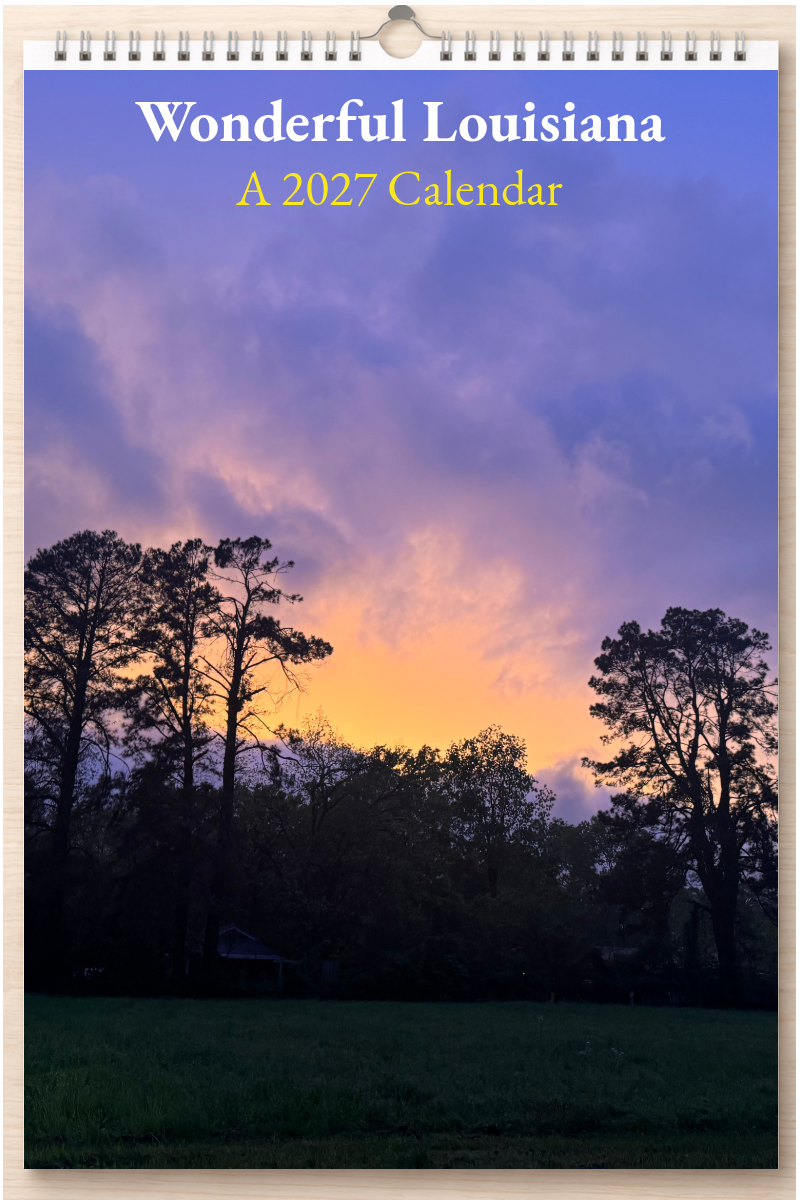 Wonderful Louisiana: A 2027 Calendar