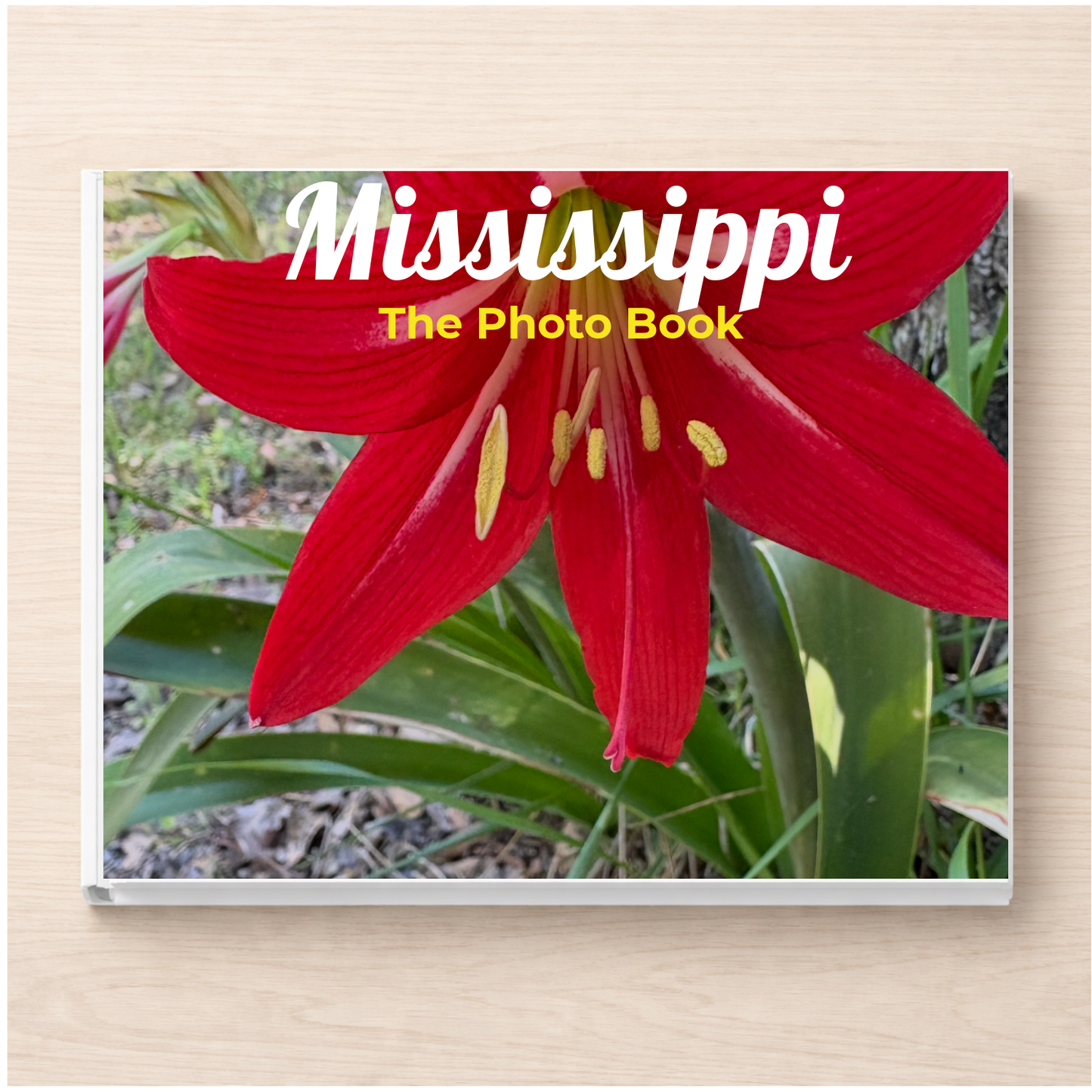 Mississippi: The Photo Book