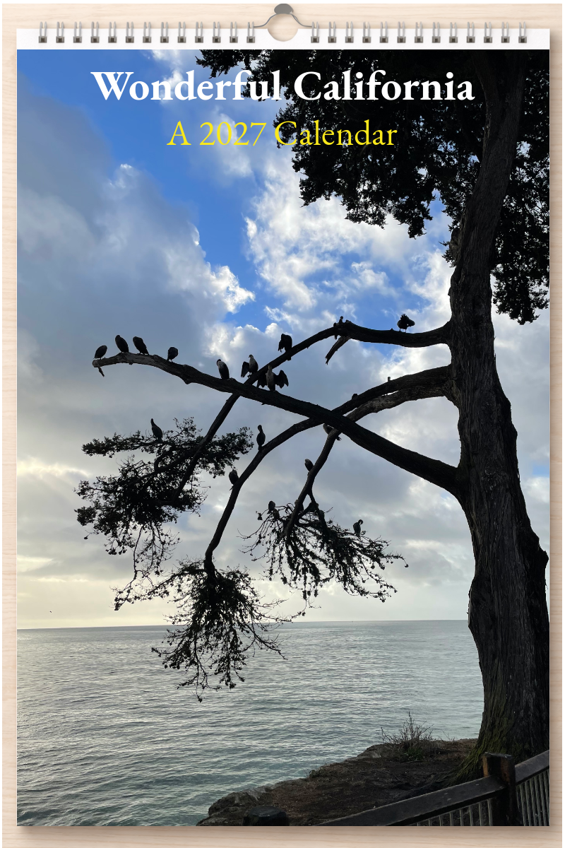 Wonderful California: A 2027 Calendar