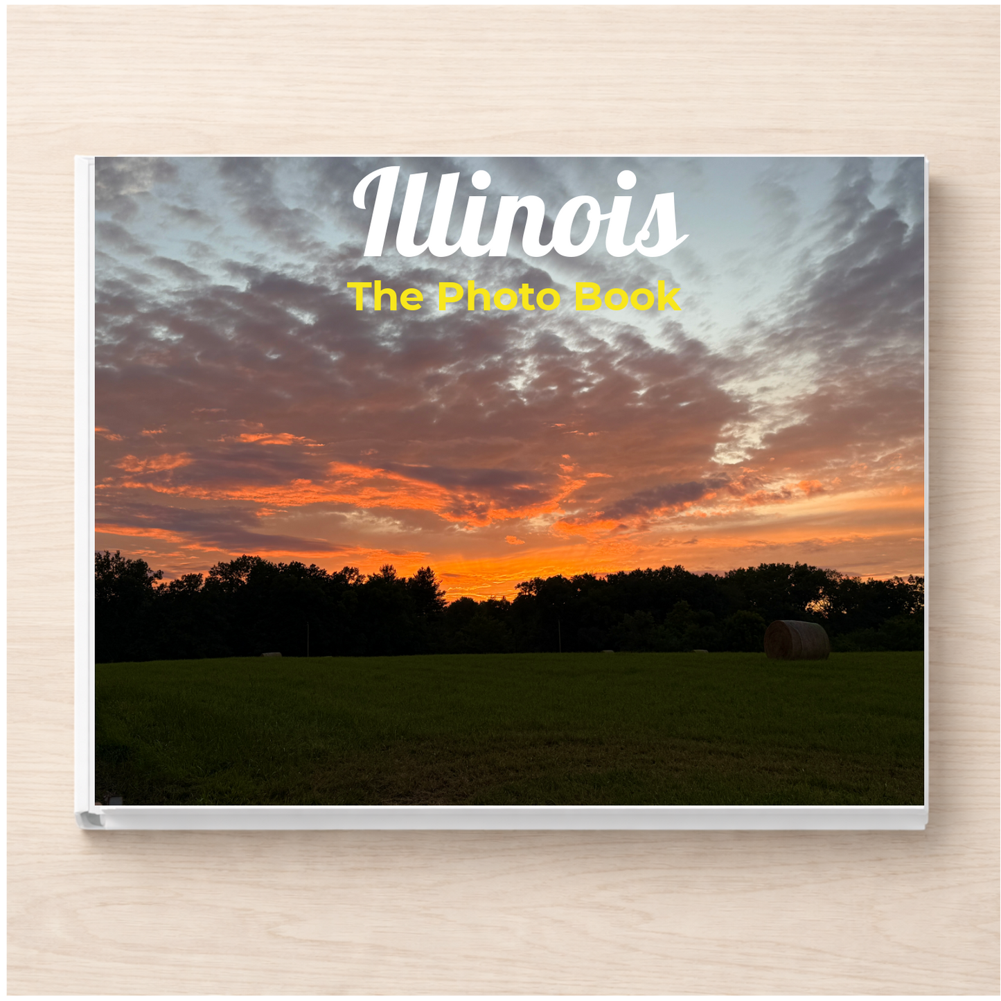 Illinois: The Photo Book
