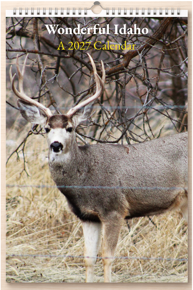 Wonderful Idaho: A 2027 Calendar