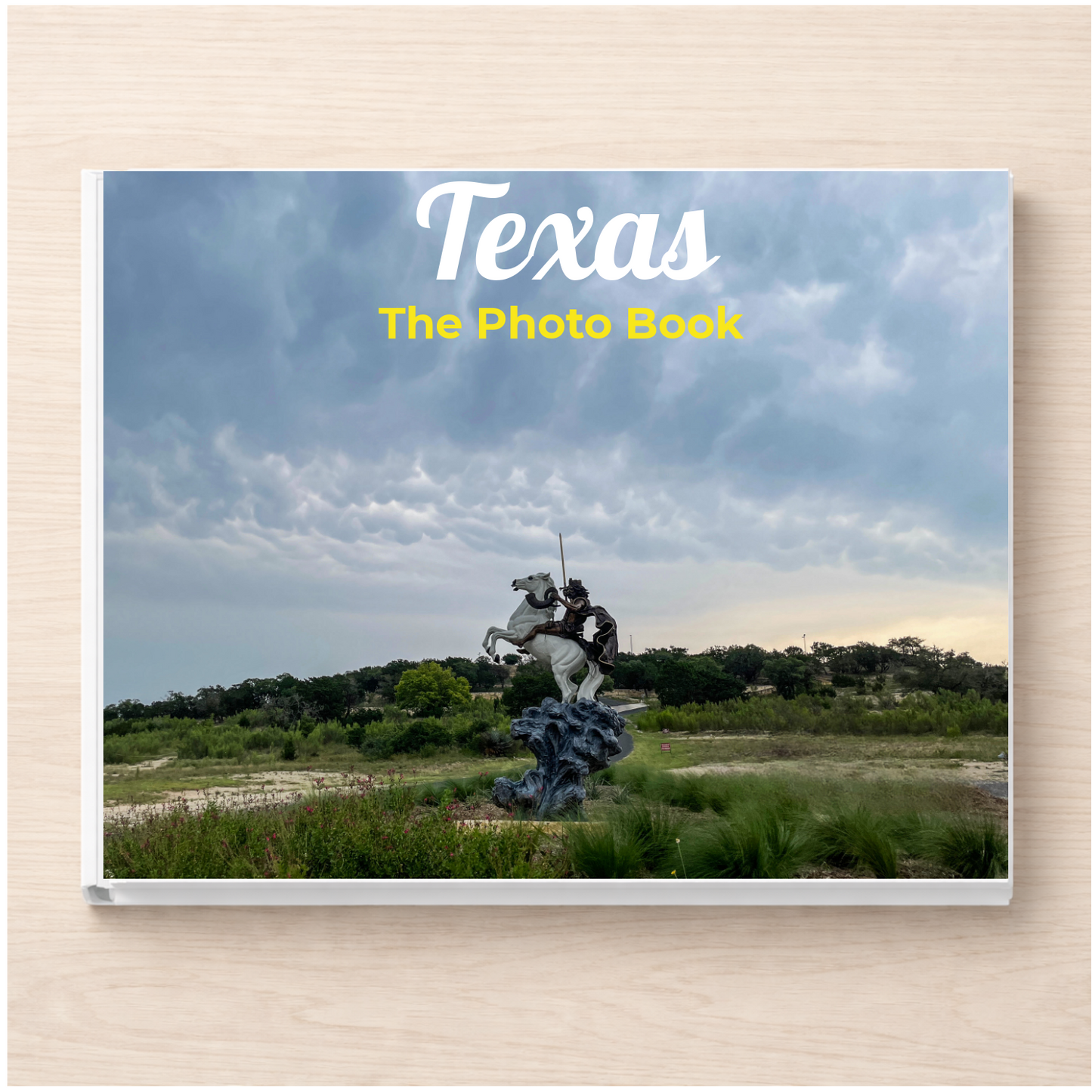 Texas: The Photo Book