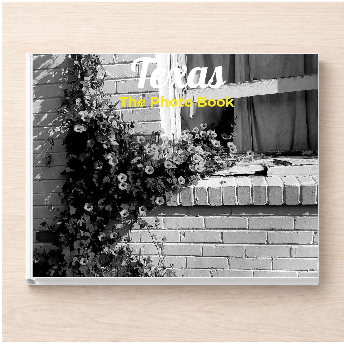 Texas: The Photo Book
