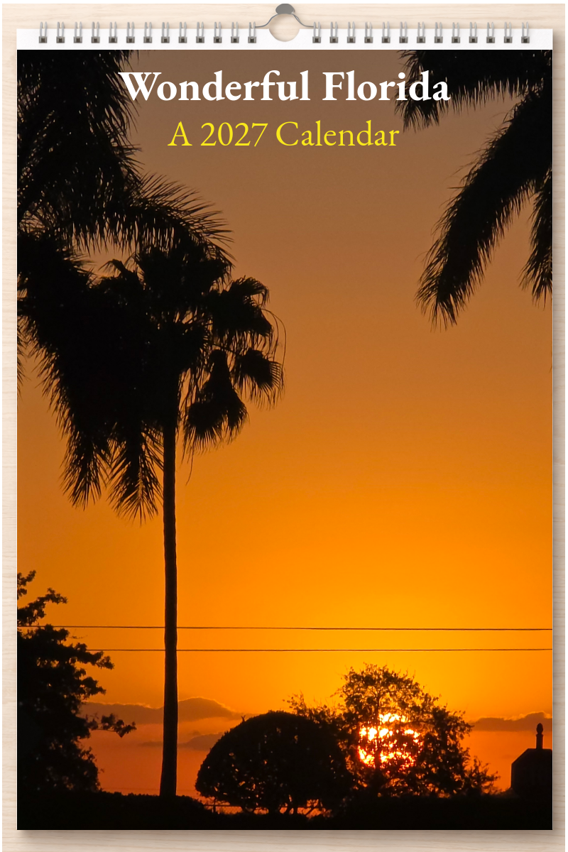 Wonderful Florida: A 2027 Calendar