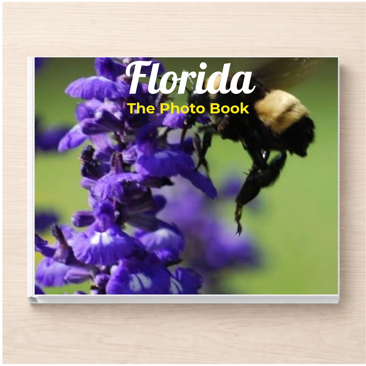 Florida: The Photo Book