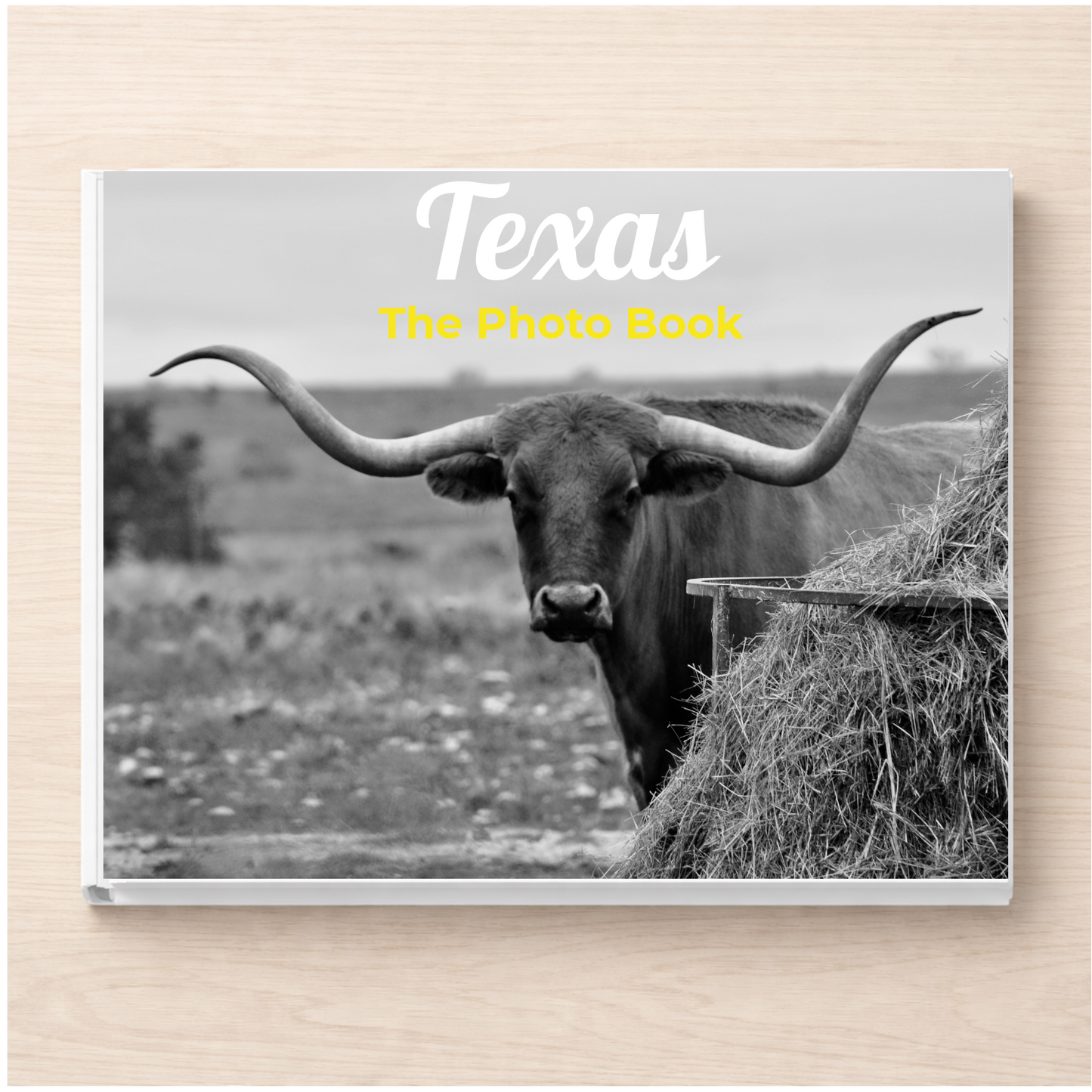 Texas: The Photo Book