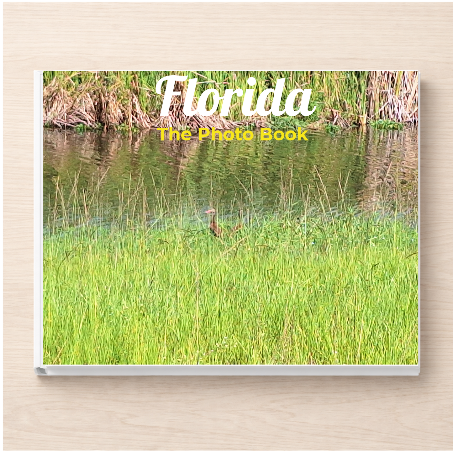 Florida: The Photo Book