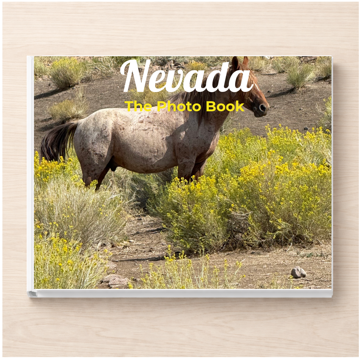 Nevada: The Photo Book