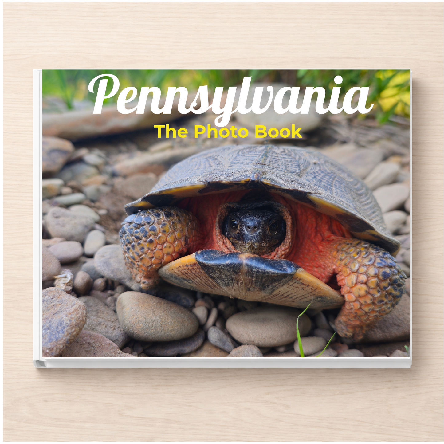 Pennsylvania: The Photo Book