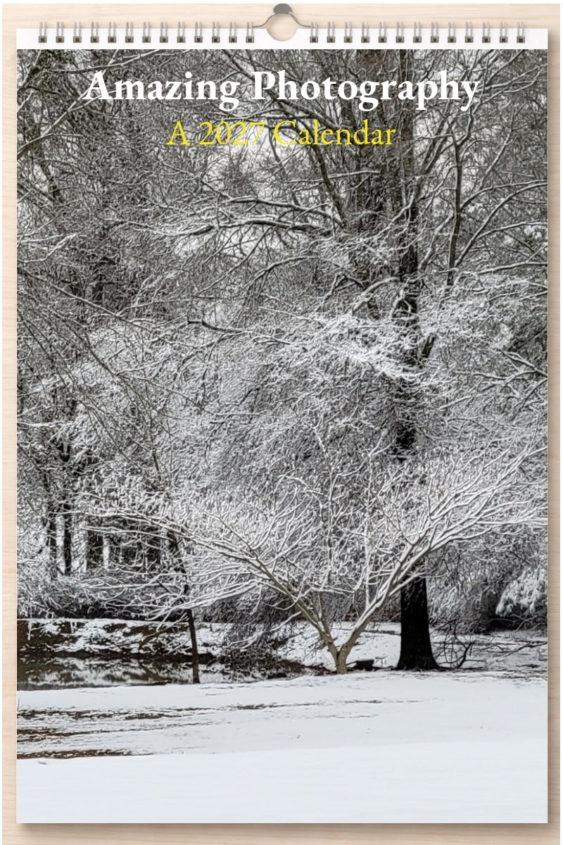 Amazing Photography: A 2027 Calendar