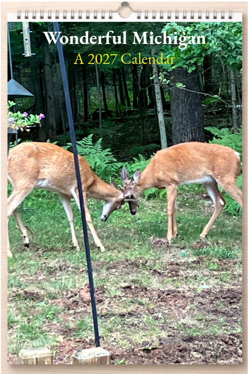 Wonderful Michigan: A 2027 Calendar