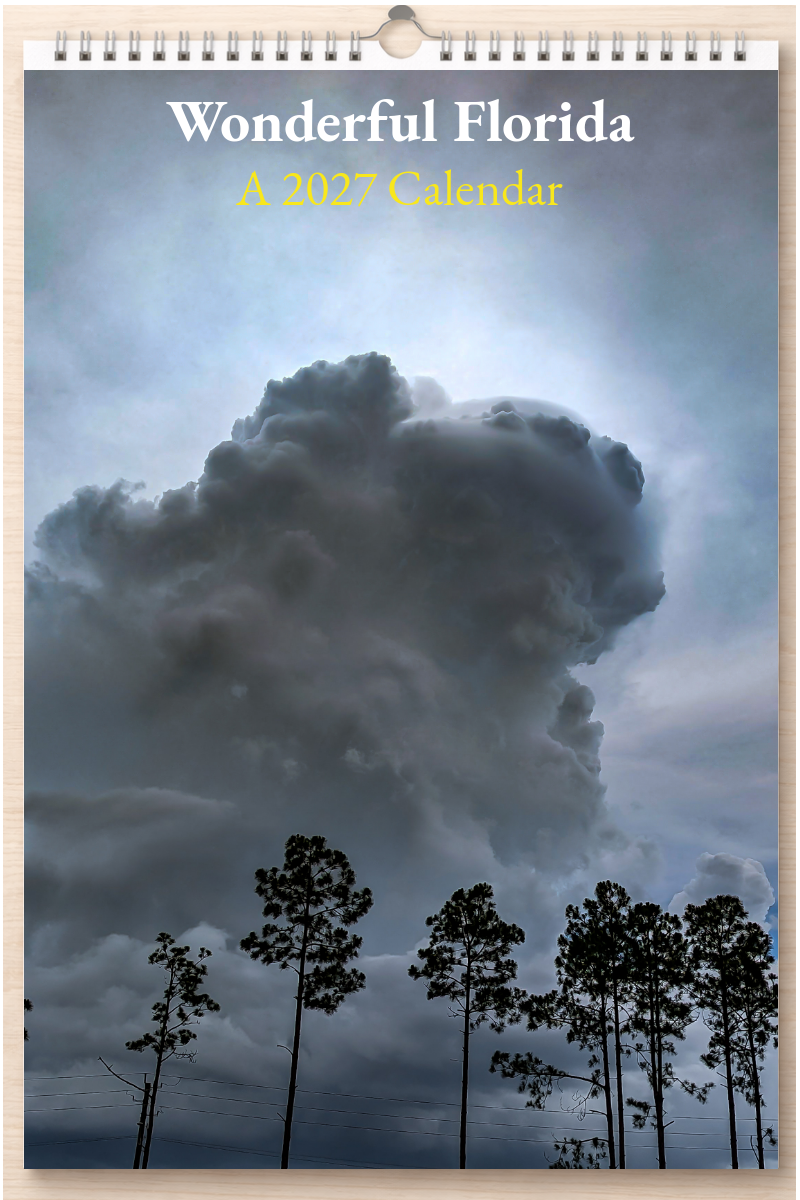 Wonderful Florida: A 2027 Calendar