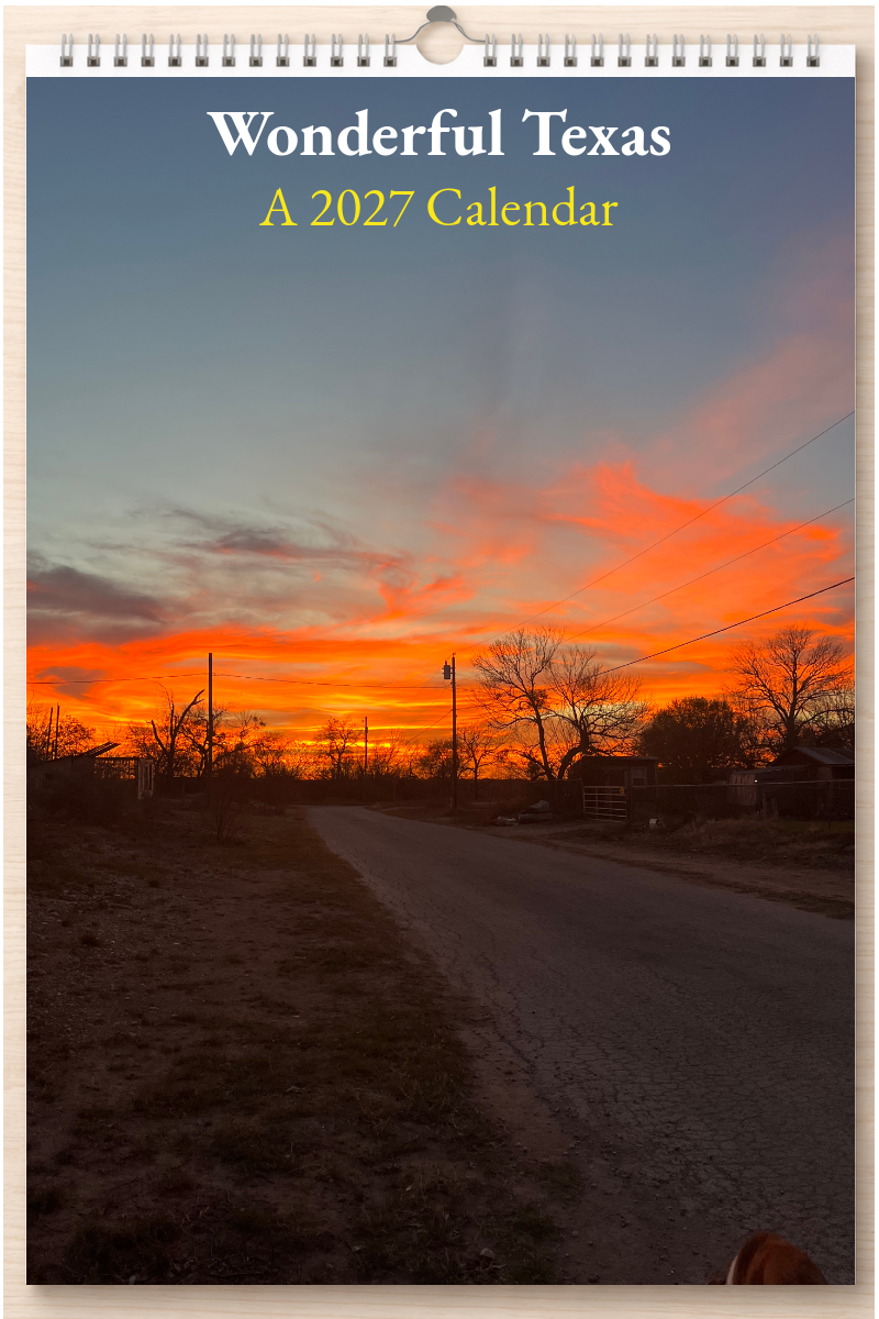 Wonderful Texas: A 2027 Calendar