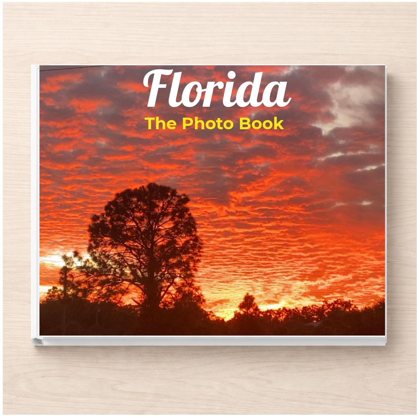 Florida: The Photo Book