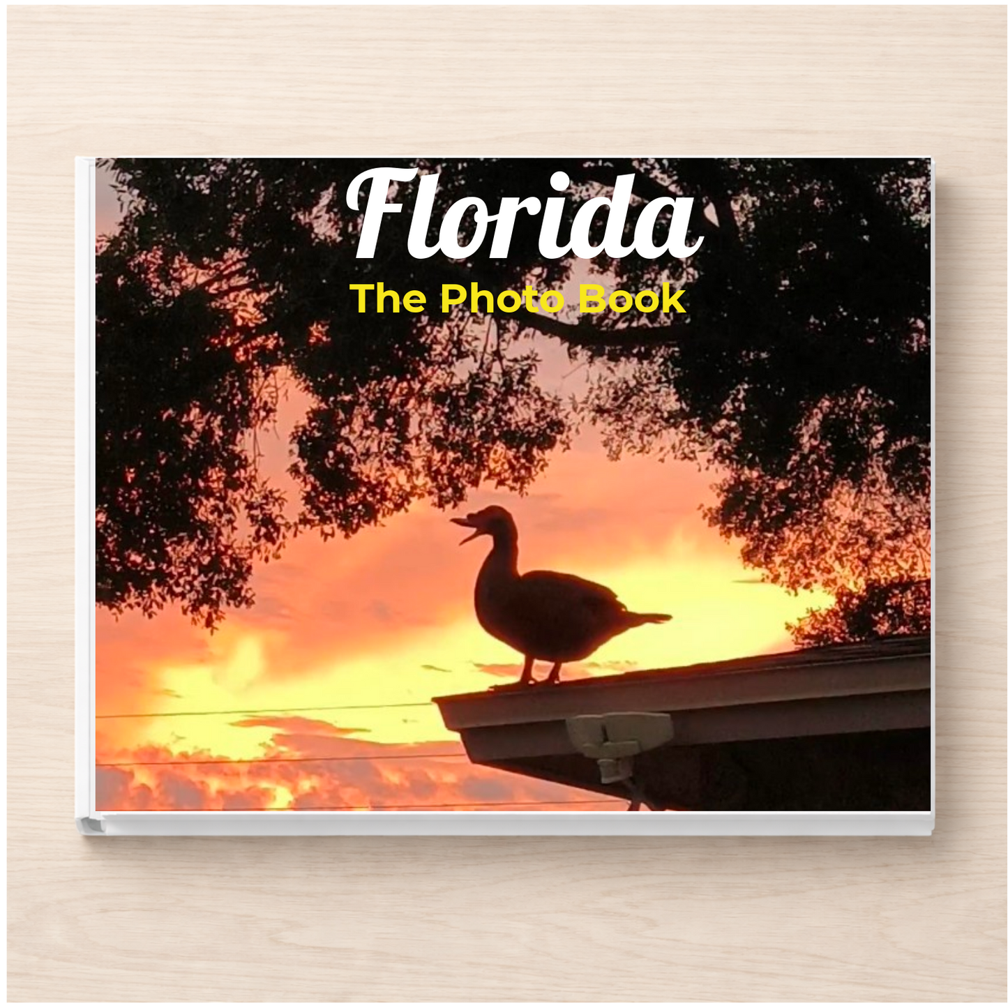 Florida: The Photo Book