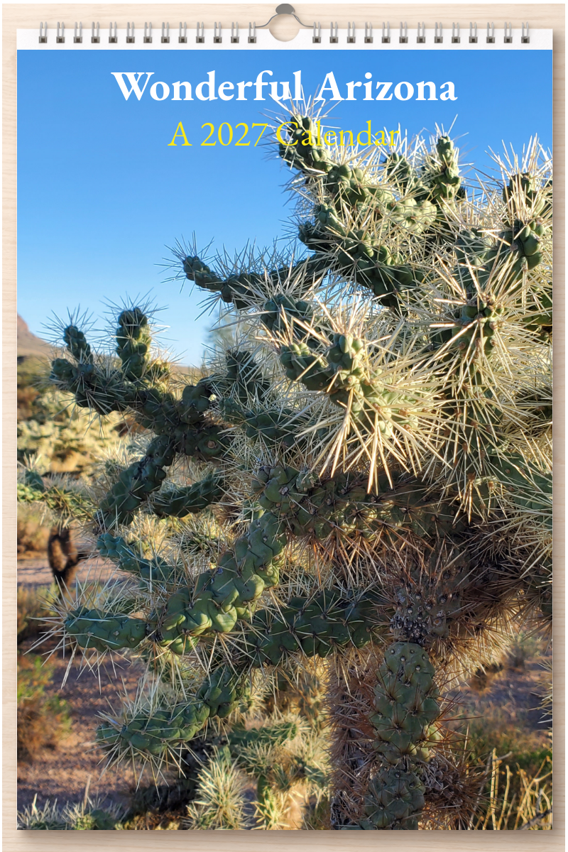Wonderful Arizona: A 2027 Calendar