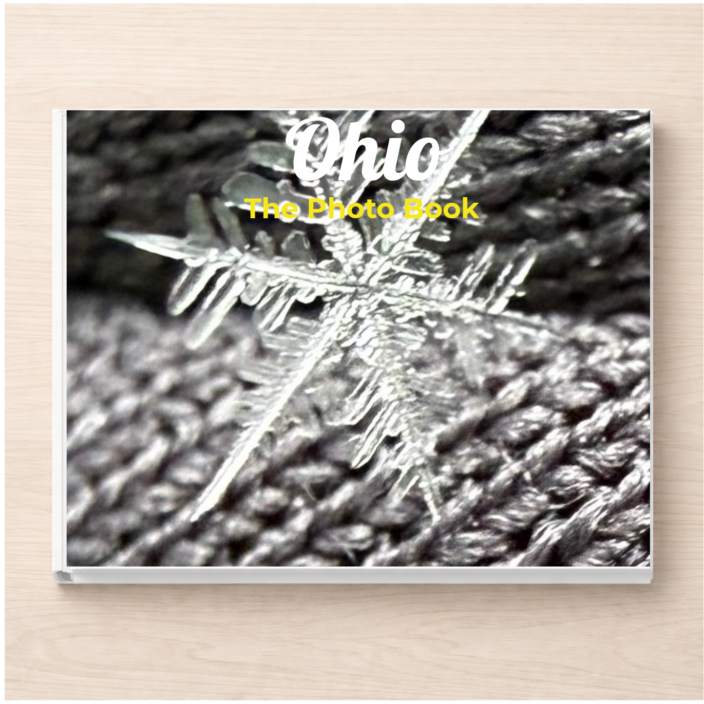 Ohio: The Photo Book