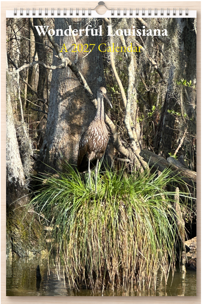 Wonderful Louisiana: A 2027 Calendar