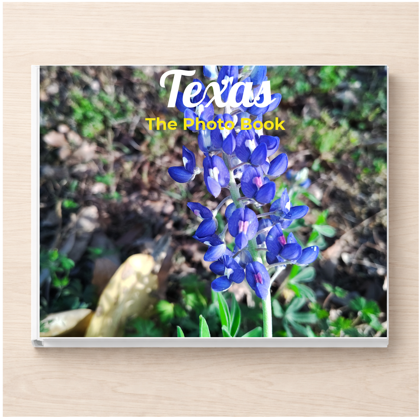 Texas: The Photo Book