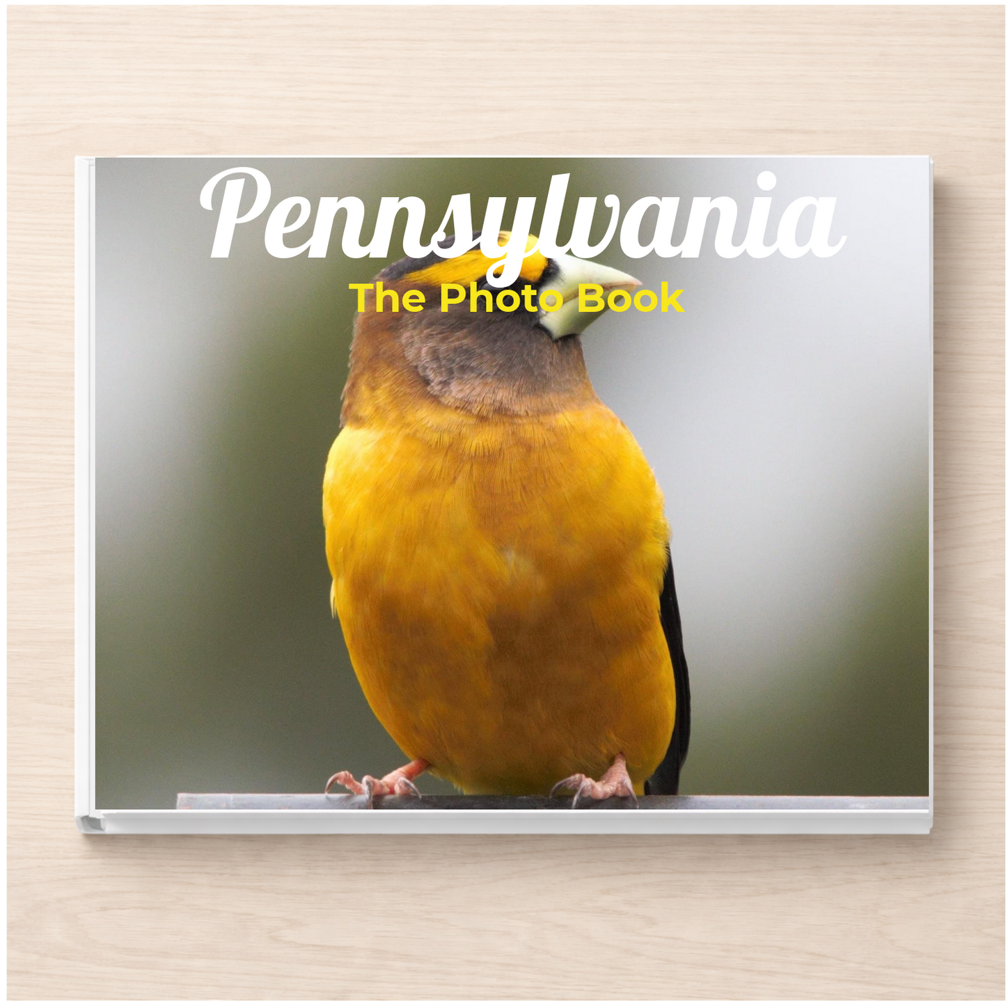 Pennsylvania: The Photo Book
