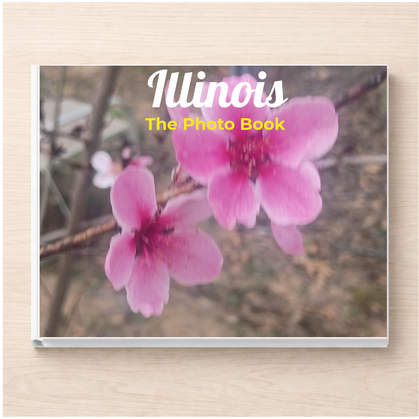 Illinois: The Photo Book