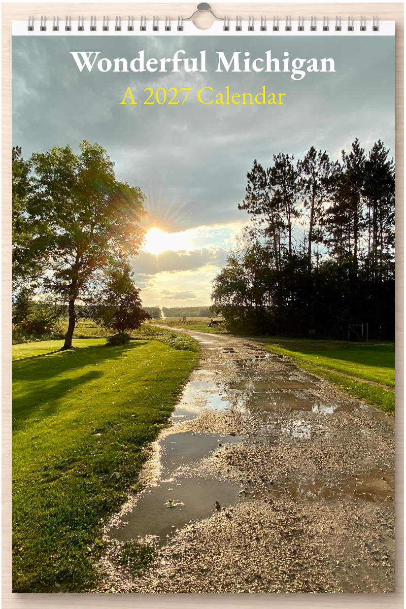Wonderful Michigan: A 2027 Calendar