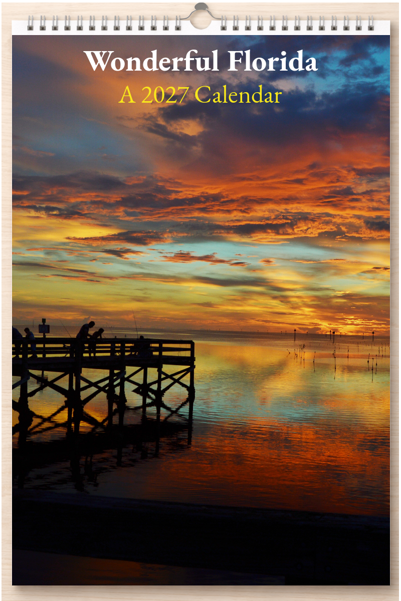 Wonderful Florida: A 2027 Calendar