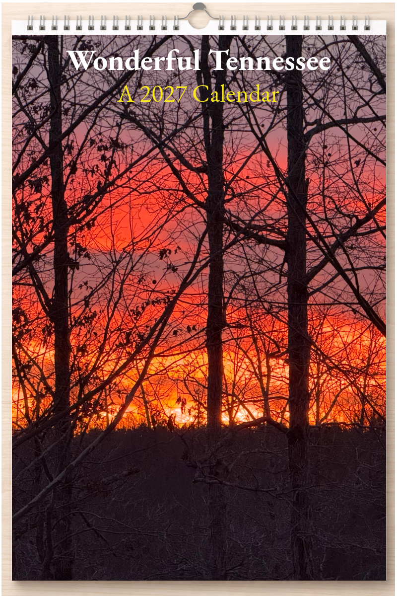Wonderful Tennessee: A 2027 Calendar