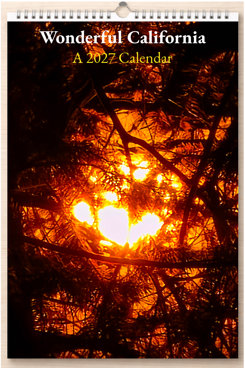 Wonderful California: A 2027 Calendar