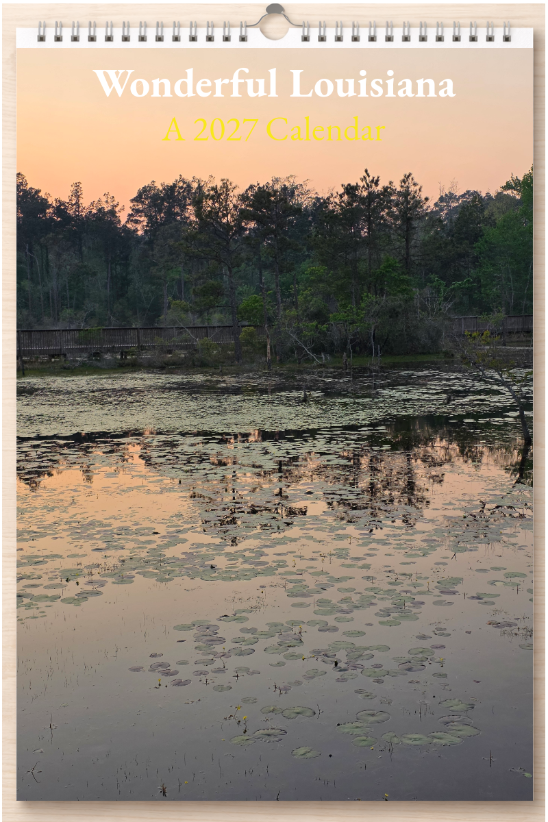 Wonderful Louisiana: A 2027 Calendar
